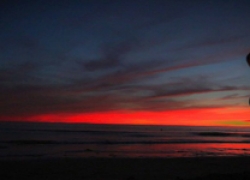 La guía para la mujer moderna: Don Perfecto vs. Donante de Esperma