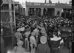 El Programa Bracero en Estados Unidos